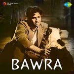 Bawra